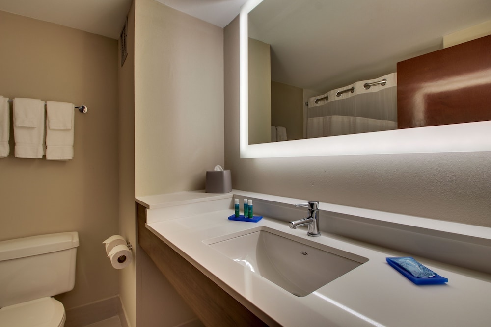 Standard Room, 1 King Bed, Accessible (Communications) - Photo 10
