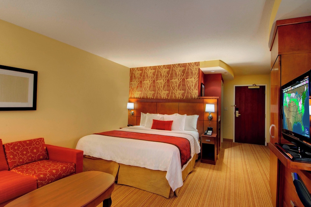Standard Room, 1 King Bed with Sofa bed (Mobility Accessible, Tub)