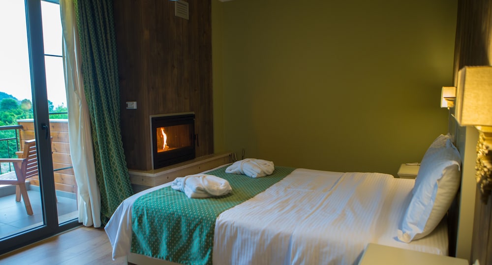Double or Twin Room photo 2