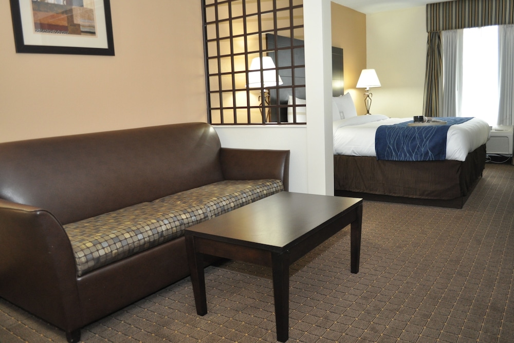 Suite, 1 King Bed with Sofa bed, Non Smoking - Photo 2
