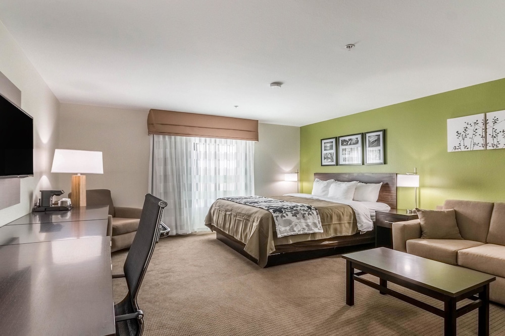 Suite, 1 King Bed, Accessible, Non Smoking photo 1