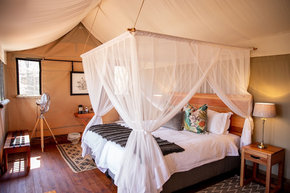 Luxury Tent photo 2