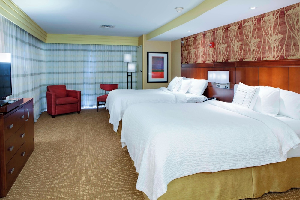 Suite, 1 Bedroom photo 3
