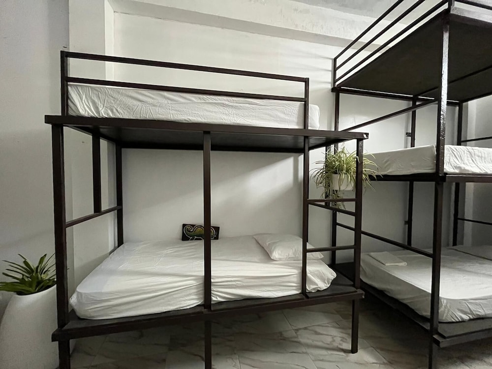 Shared Dormitory photo 3