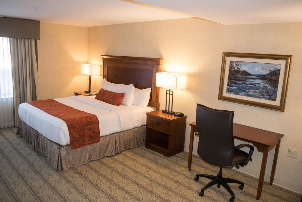Room, 1 King Bed, Accessible - Photo 4