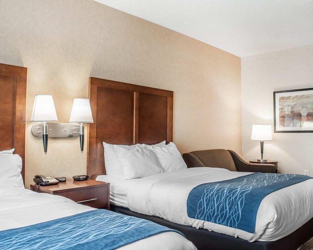 Comfort Inn & Suites Hamburg - Buffalo South, Bild 5