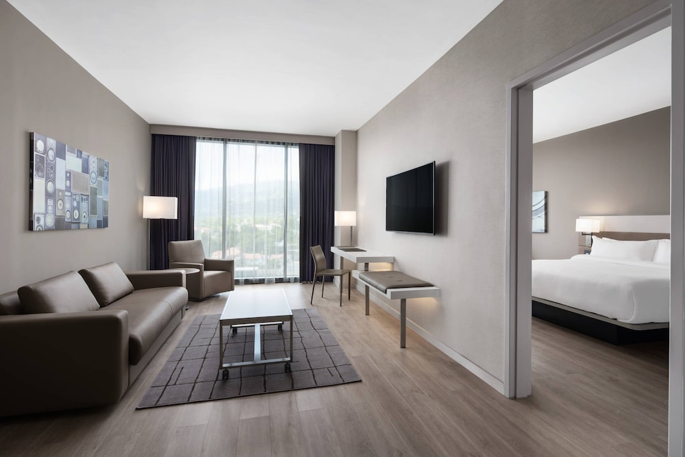 Suite, 1 King Bed with Sofa bed