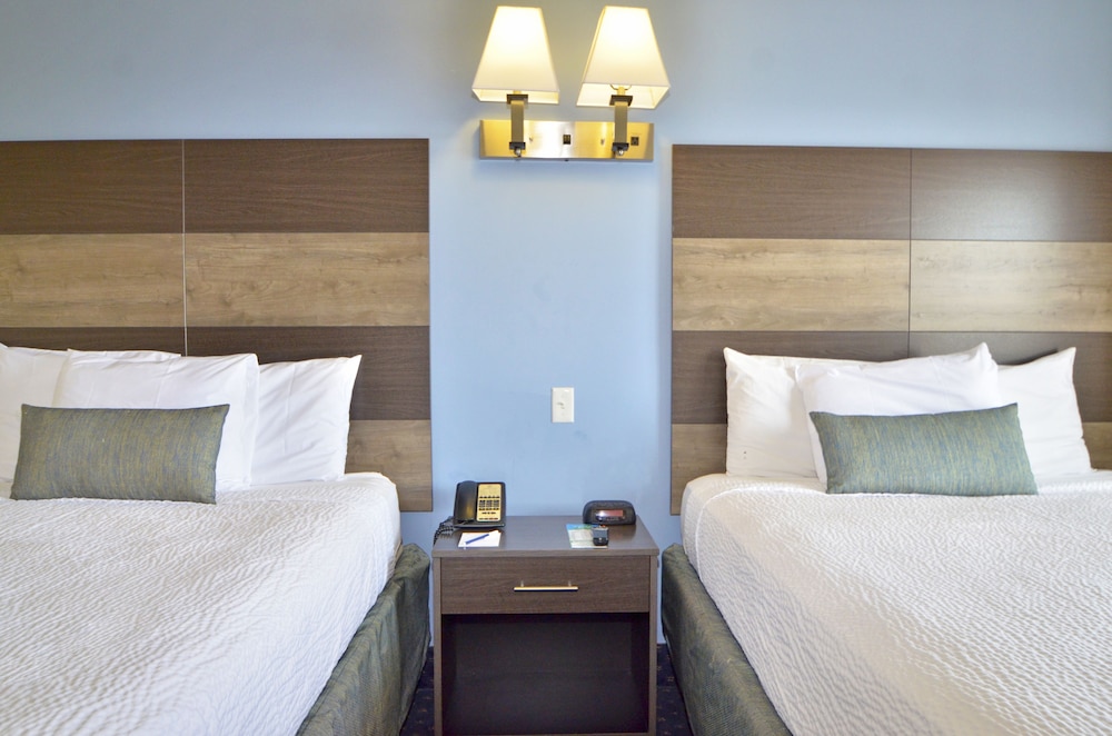 Suite, City View (2 Queens/Sofa, No pets allowed) photo 1