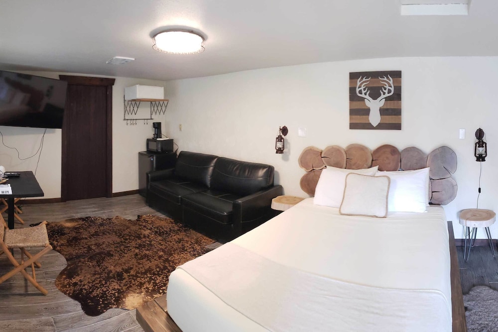 Room, 1 Queen Bed with Sofa bed photo 1