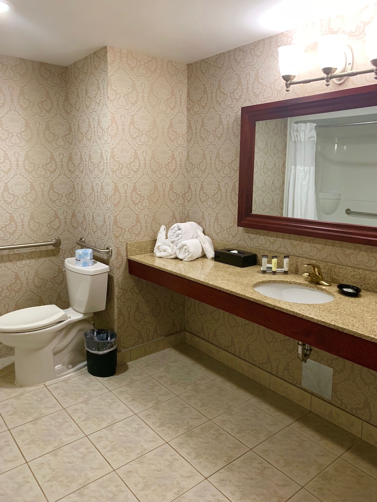 Room, 1 King Bed, Accessible, Non Smoking (City View) - Photo 6