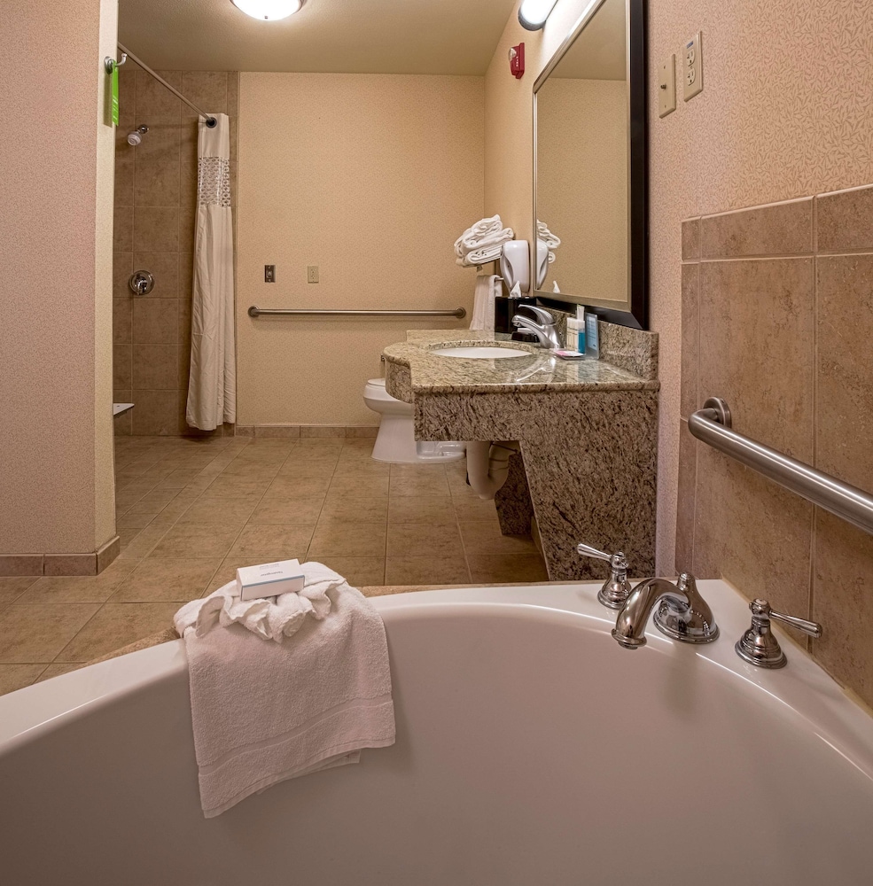Studio, 1 King Bed, Accessible (Roll-In Shower) - Photo 9