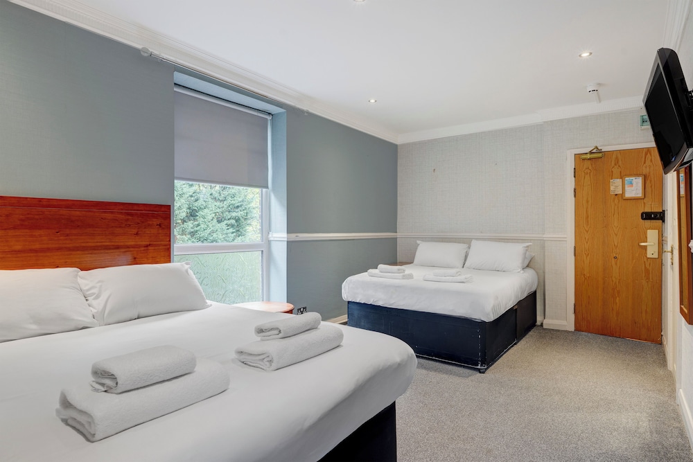 Standard Quad Room