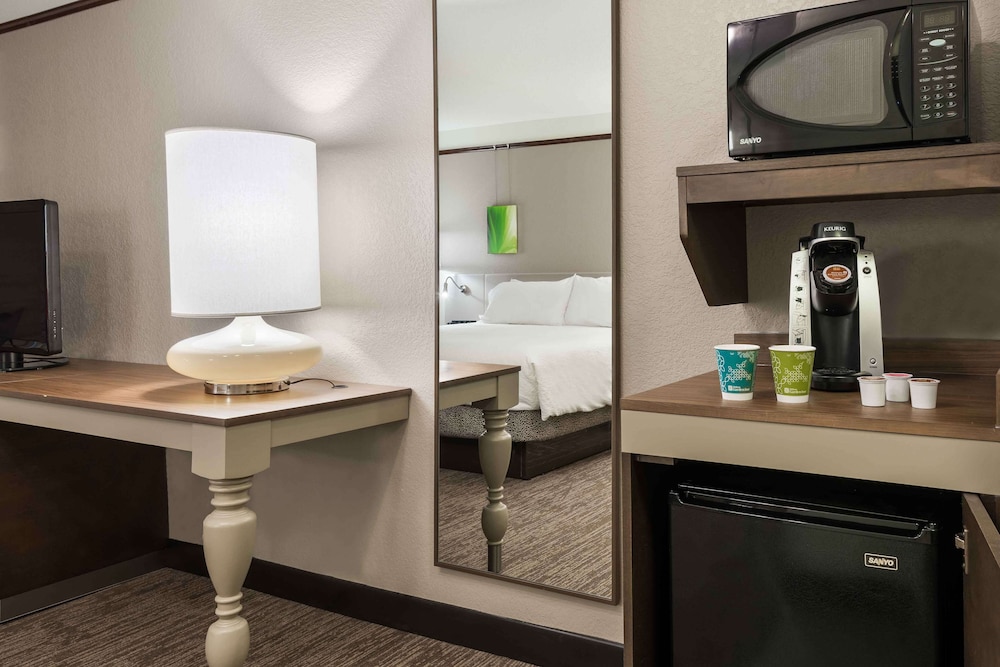 Premium Room, 1 King Bed, Accessible, Bathtub (Bathtub) - Photo 3