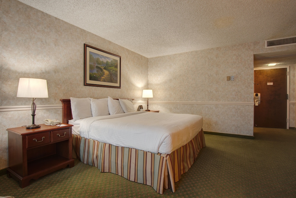 Standard Room, 1 King Bed, Non Smoking - Photo 4