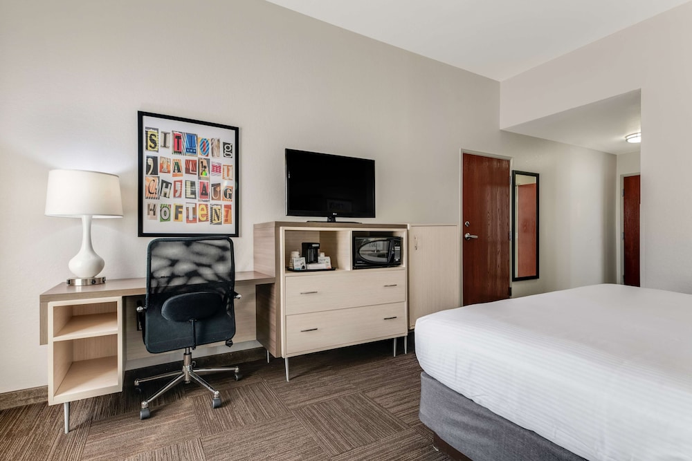 Standard Room, 1 King Bed, Accessible, Refrigerator & Microwave - Photo 3