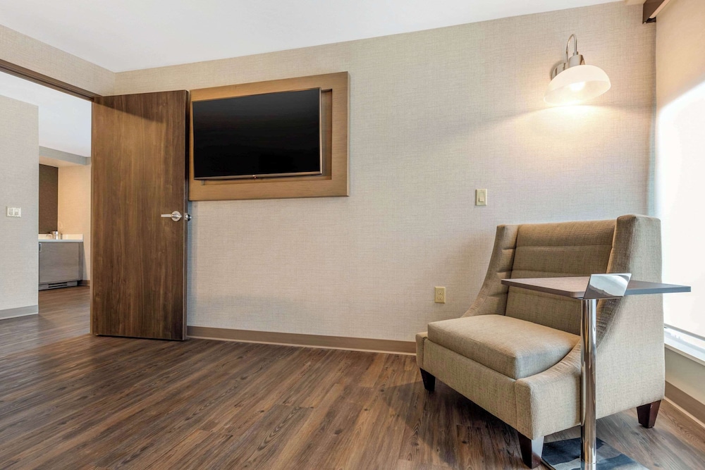 Suite, 1 King Bed, Non Smoking - Photo 8