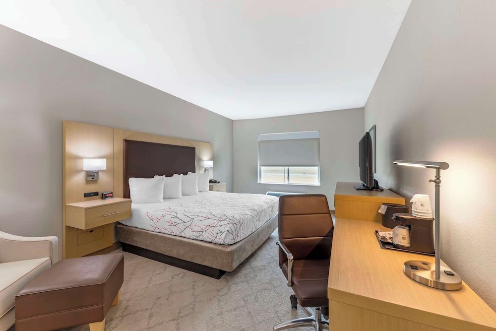Standard Room, 1 King Bed, Non Smoking, Refrigerator & Microwave photo 1