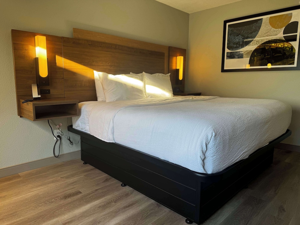 Standard Room, 1 King Bed, Accessible, Refrigerator & Microwave - Photo 2