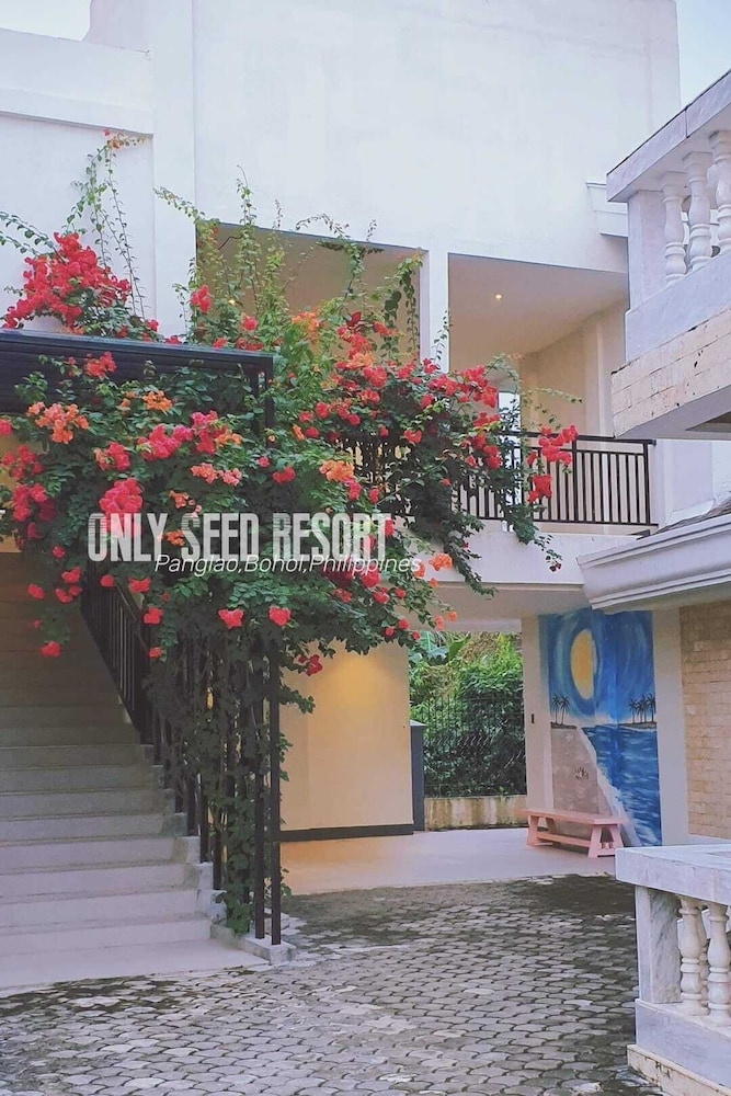 Deluxe Double Room, 1 King Bed, Non Smoking - Photo 16