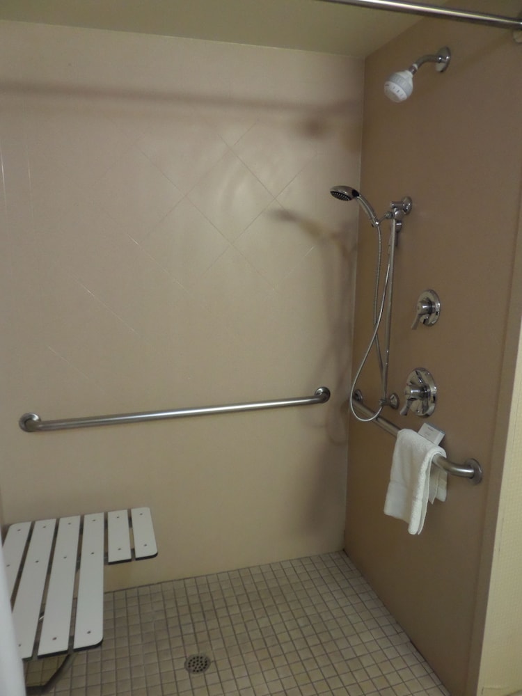 Studio, 1 King Bed, Accessible (Roll-In Shower) - Photo 7