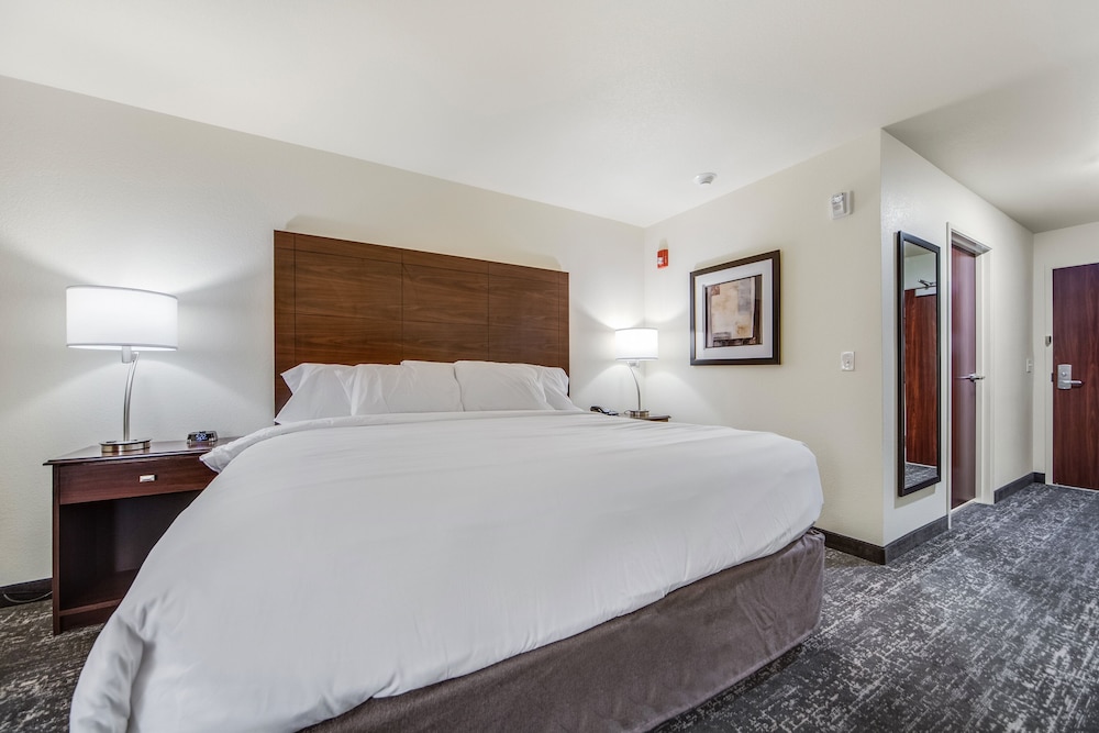Room, 1 King Bed, Non Smoking (Audible/Visual) - Photo 7