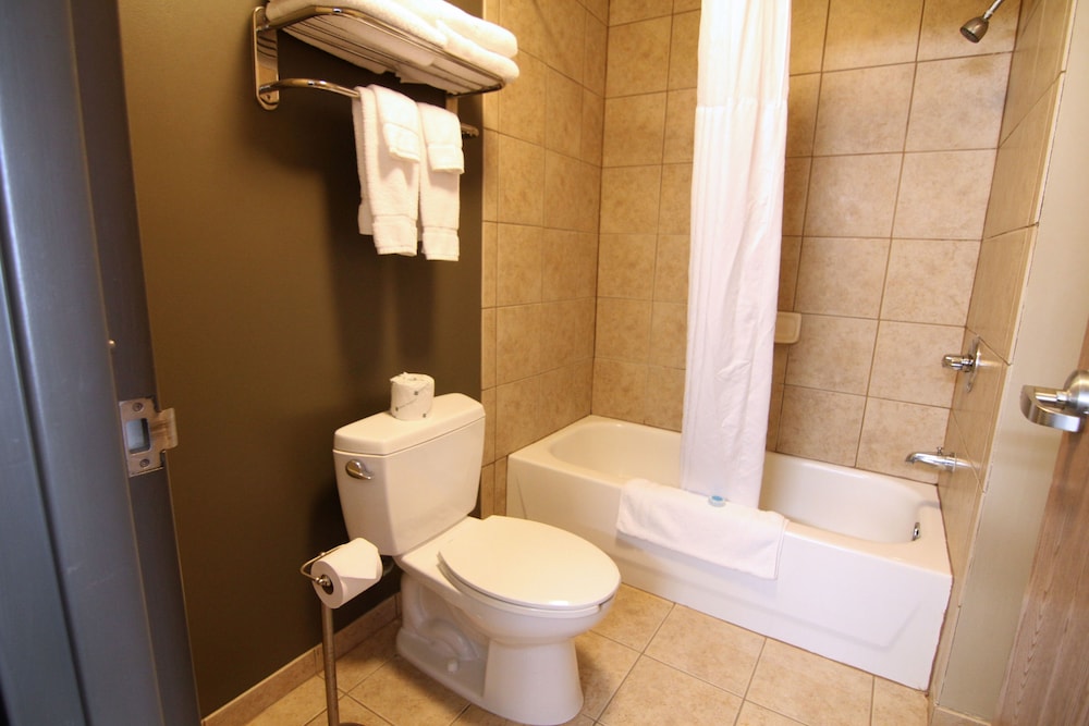 Basic Room, 1 King Bed photo 3