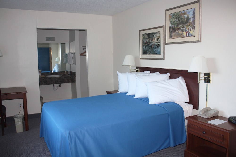 Premier Single Room, 1 Queen Bed photo 1