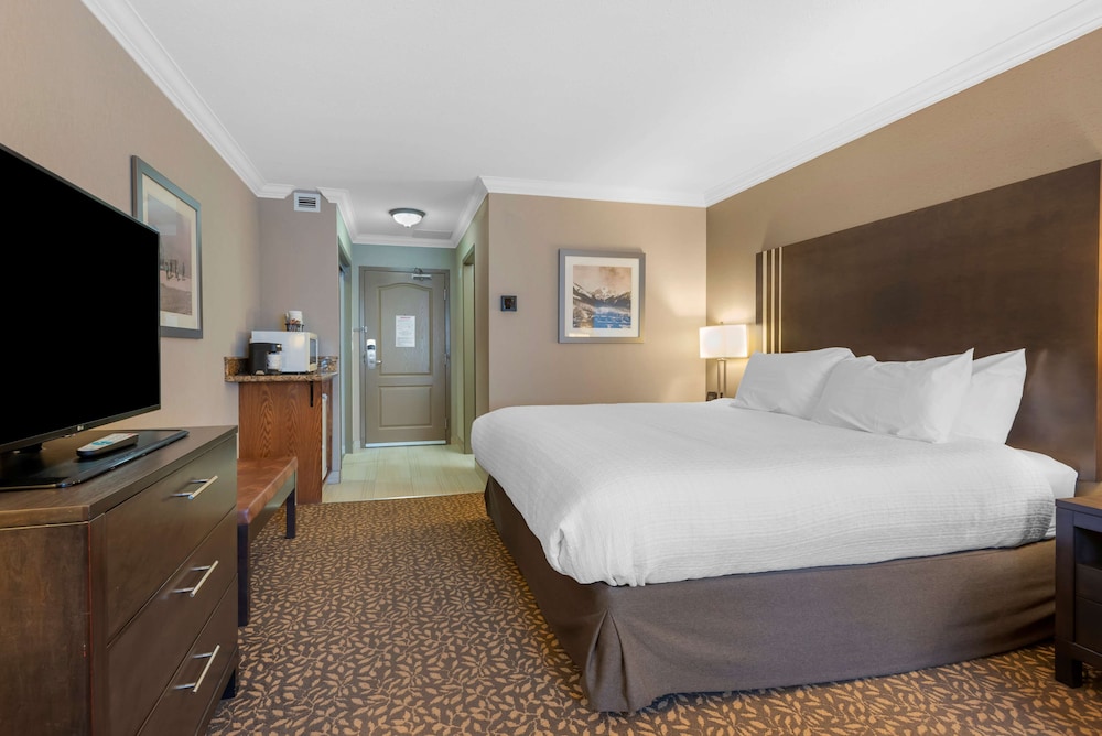 Standard Room, 1 King Bed, Non Smoking, Fireplace (with Sofabed)