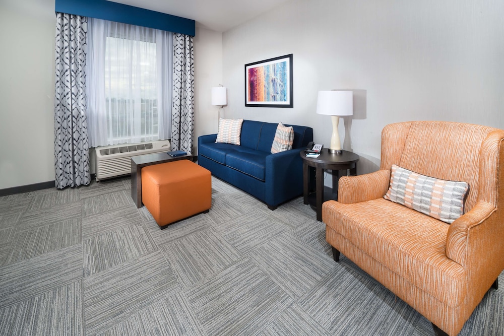 Suite, 1 King Bed, Accessible (Roll-In Shower) photo 1