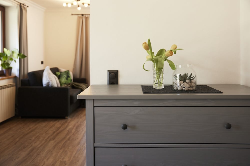 Traditional Apartment - Photo 2