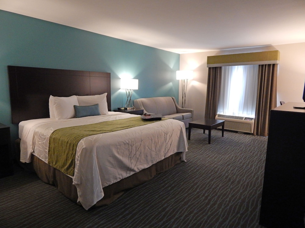 Studio Suite, 1 King Bed, Non Smoking - Photo 1