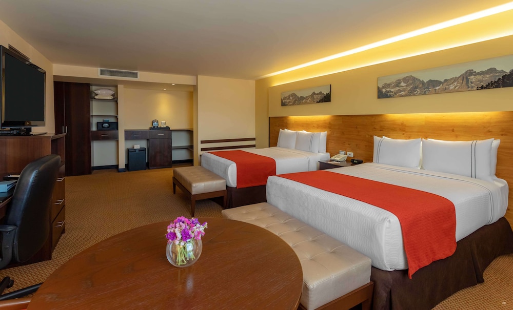 Executive Twin Room - Photo 6