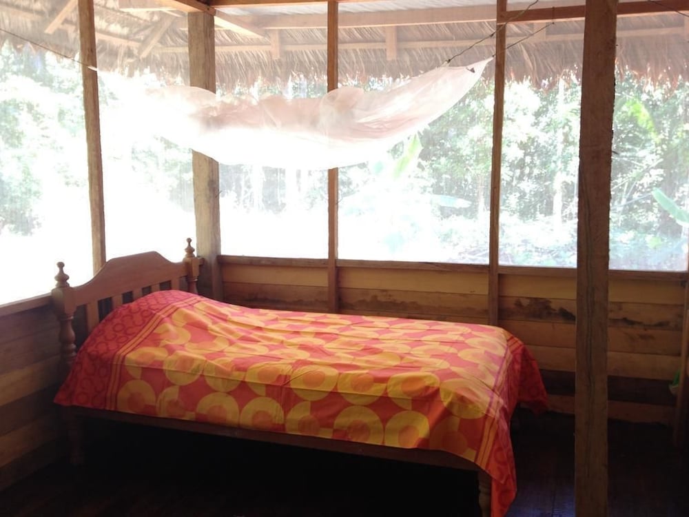 Room (Selva 1)