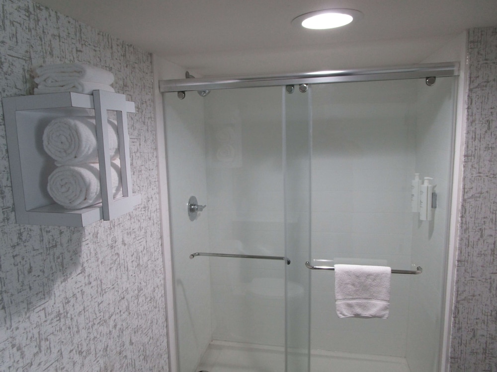 Suite, 1 King Bed, Non Smoking (with Sofabed) - Photo 4