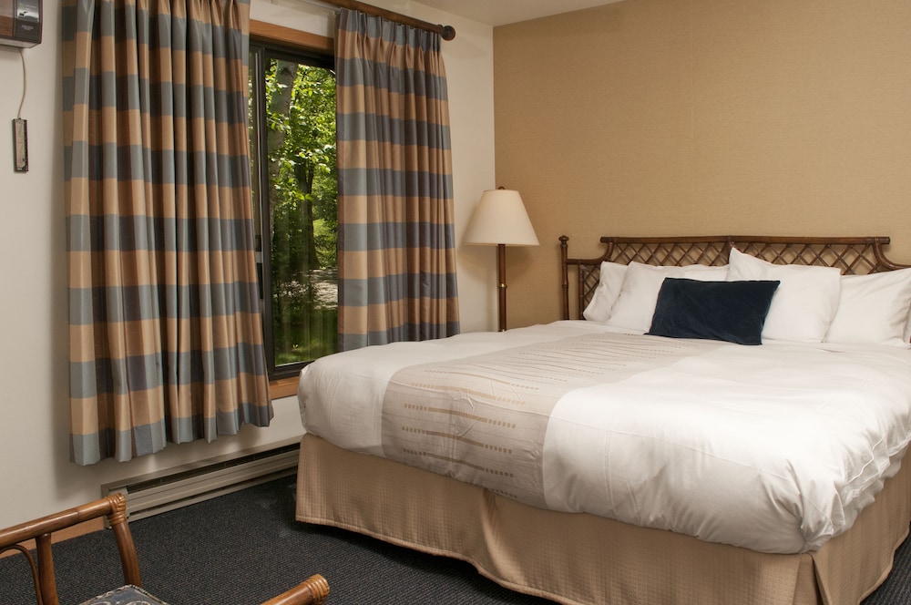 Deluxe Room, 1 King Bed with Sofa bed photo 1
