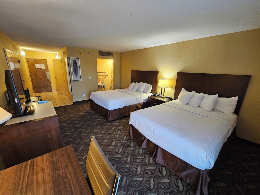 Standard Single Room, 2 Queen Beds, Non Smoking photo 1