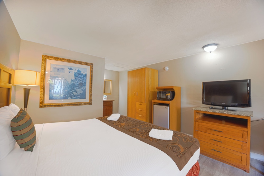 Standard Room, 1 King Bed, Non Smoking photo 3