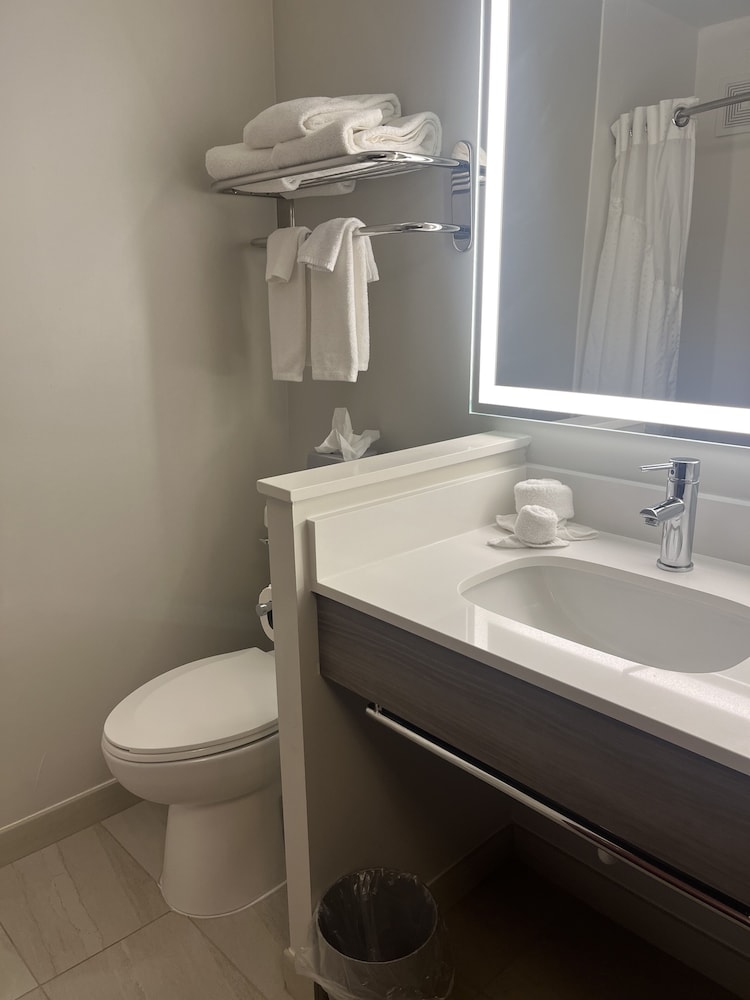 Suite, 1 King Bed - Photo 11