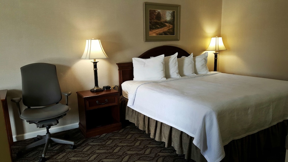 Best Western Suites, Billede 5