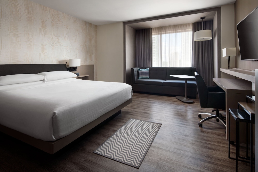 Room, 1 King Bed with Sofa bed (Mobility Accessible, Roll-in Shower)