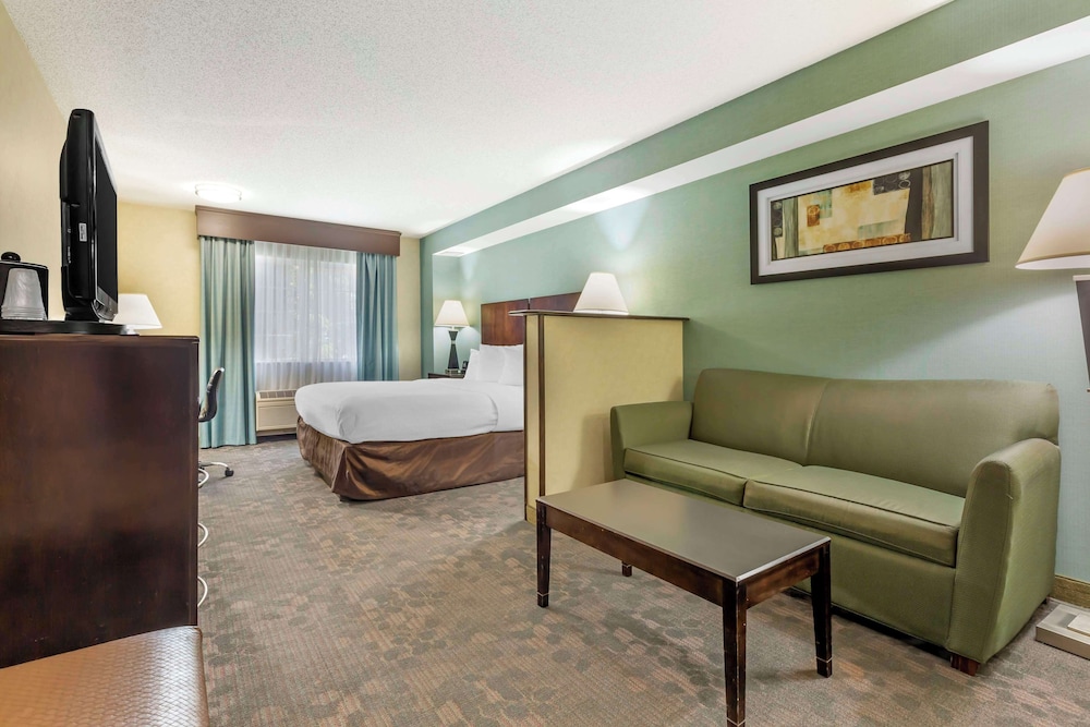 Suite, 1 King Bed, Accessible, Refrigerator & Microwave (with Sofabed) - Photo 1