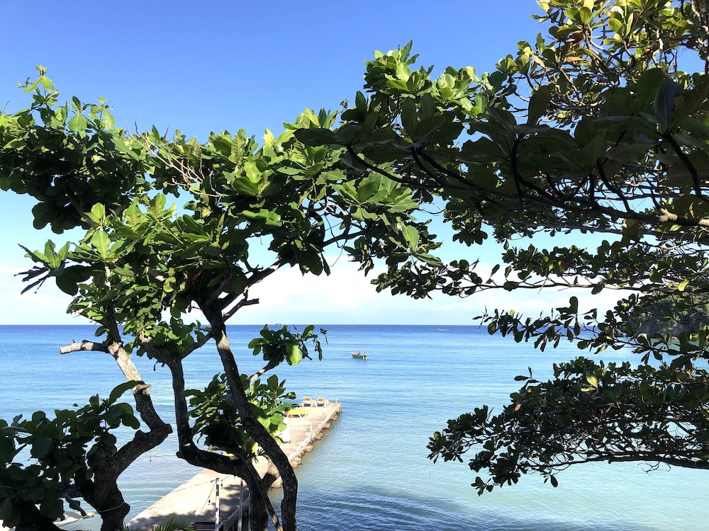 Luxury Room, 1 King Bed
