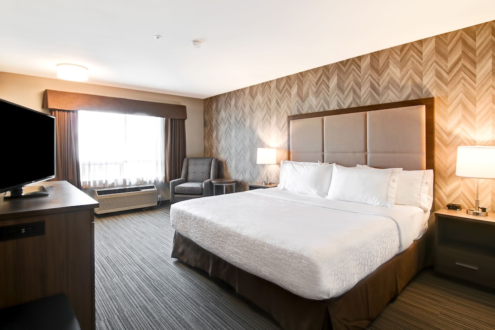 Business Room, 1 King Bed with Sofa bed photo 1