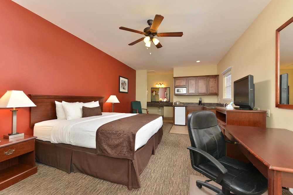 Standard Single Room, 1 King Bed photo 1