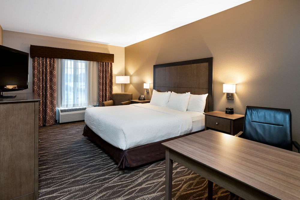 Standard Room, 1 King Bed, Non Smoking, Refrigerator & Microwave