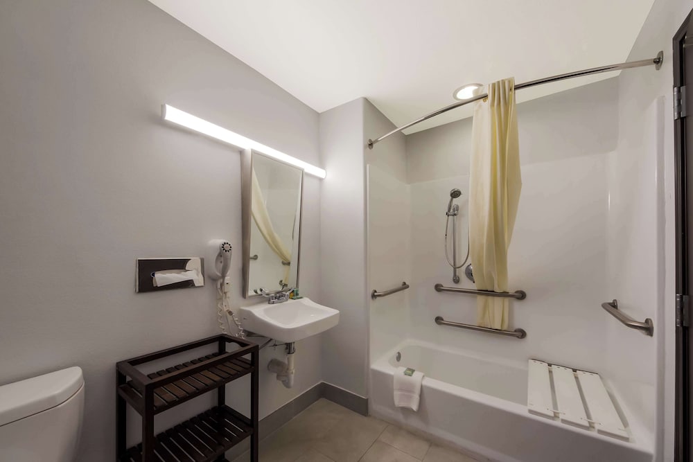 Standard Room, 1 Double Bed, Accessible, Refrigerator & Microwave - Photo 4