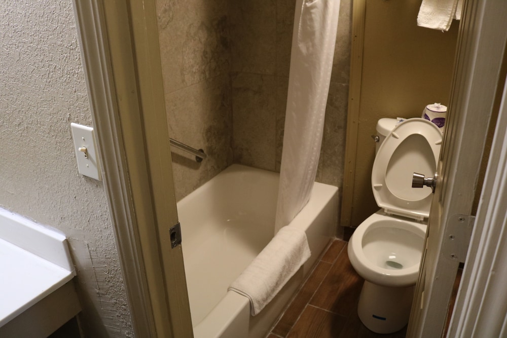 Standard Room, 1 King Bed, Non Smoking, Refrigerator & Microwave photo 3