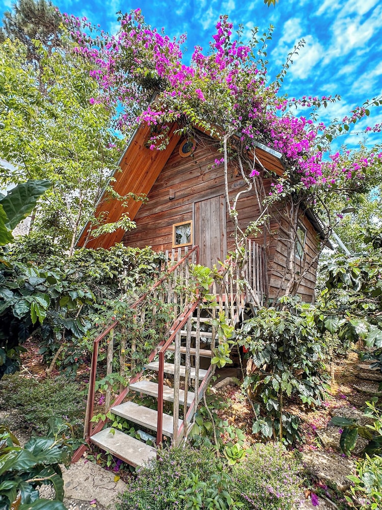 Family Bungalow, Hill View