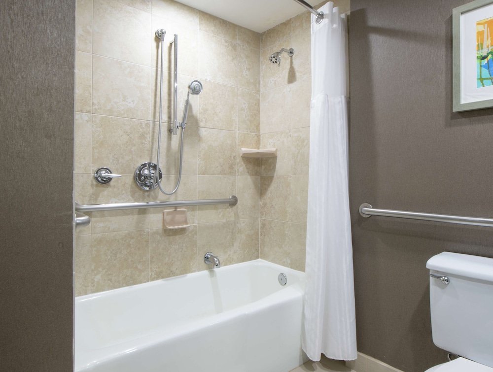 Room, 1 King Bed, Accessible, Bathtub - Photo 7
