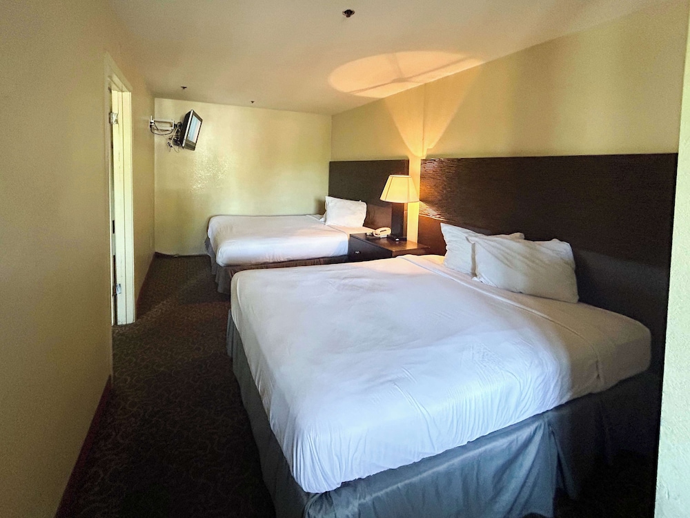 Standard Studio, 2 Queen Beds, Non Smoking, Kitchenette photo 1
